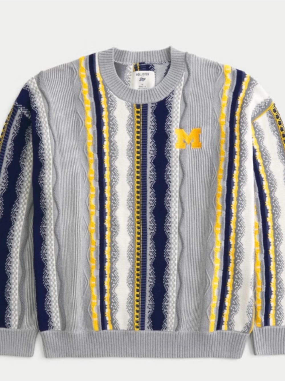 Hollister-University of Michigan Wolverines Graphic Crew Sweater-COOGI style-New